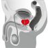 You2Toys - Prostate massager - forgó prosztatavibrátor (fekete)